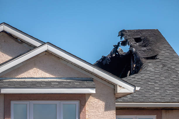 Top rated local Odor Removal specialists in Rancocas, NJ